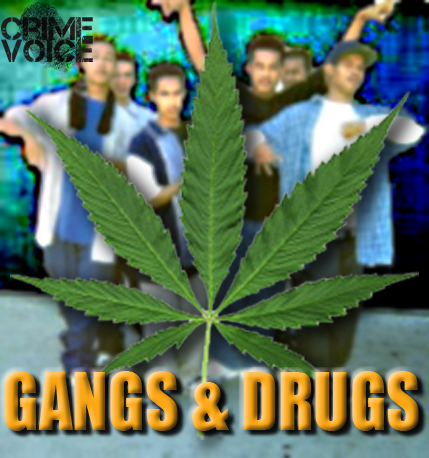 gangs drugs