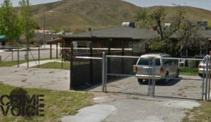 A 7 foot high, padlocked fence did not keep the assailant from breaking and entering the elderly couple's home