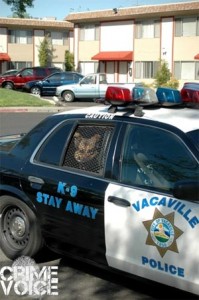 Second Vacaville PD Officer-Involved Shooting in Three Weeks; Suspect Killed