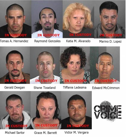 15 member homeless gang identified in commercial van targeting scheme