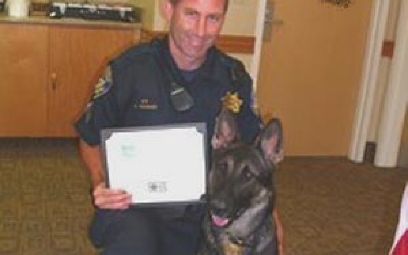 K-9 Officer Captures Robbery Suspect