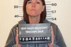 Bear Valley Springs couple arrested for theft and weapons