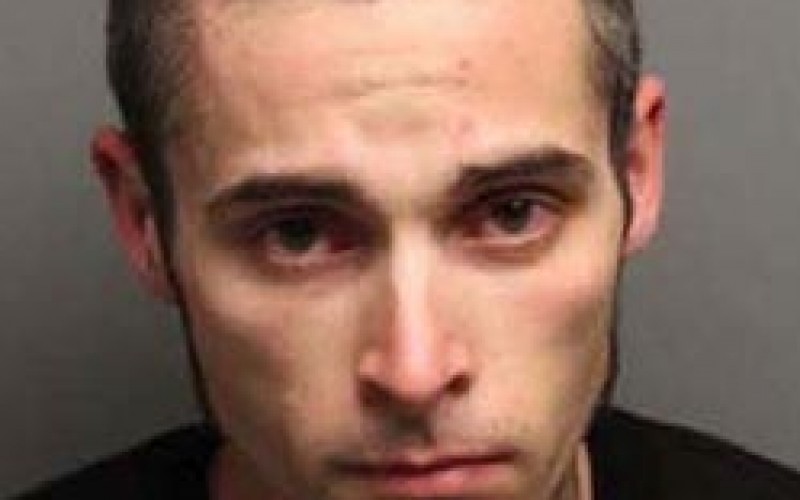 Rocklin PD Make Arrest in Vehicle Theft