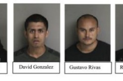 Four Arrested on Suspicion of Mail Theft