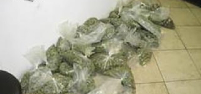 LB Police Make Arrest in Pot Dispensary Case