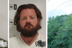 Sophisticated pot growers caught by detectives