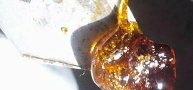 Man in Custody Allegedly Manufactured Hash Oil in Home Laboratory