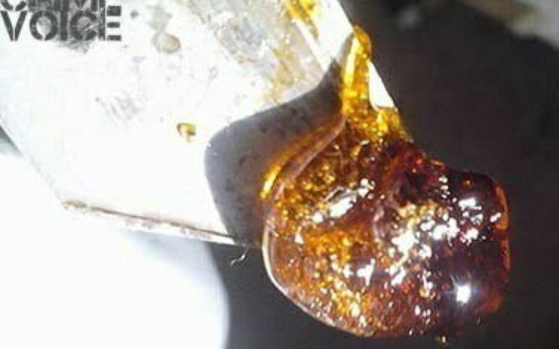 Man in Custody Allegedly Manufactured Hash Oil in Home Laboratory