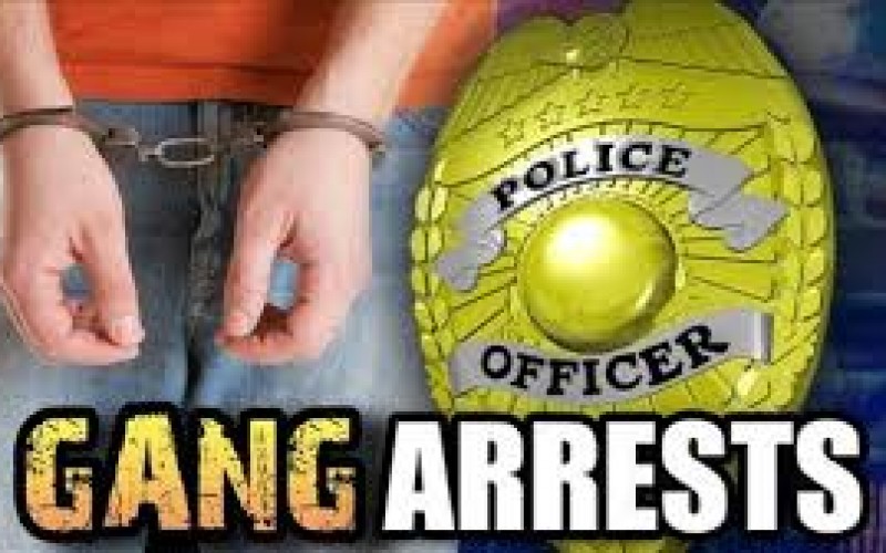 Gang Task Force Sweep Leads to the Arrest of Twelve