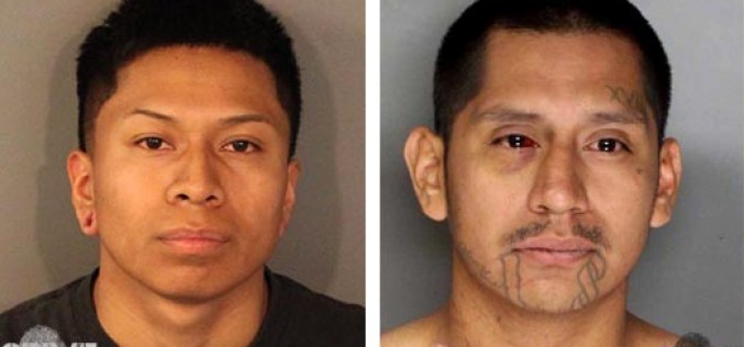 Placer County Sheriff Arrest 2 Party Crashers for Assault