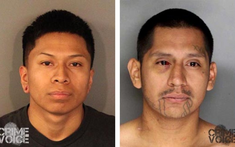 Placer County Sheriff Arrest 2 Party Crashers for Assault