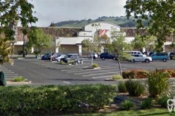 Santa Rosa officers assaulted by K-Mart thief