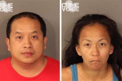 Roseville PD Makes Recent Theft Arrests