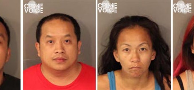 Roseville PD Makes Recent Theft Arrests