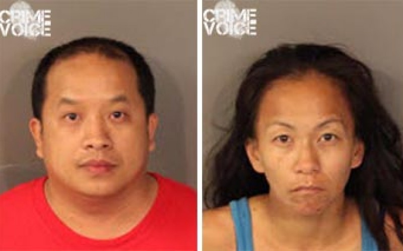 Roseville PD Makes Recent Theft Arrests