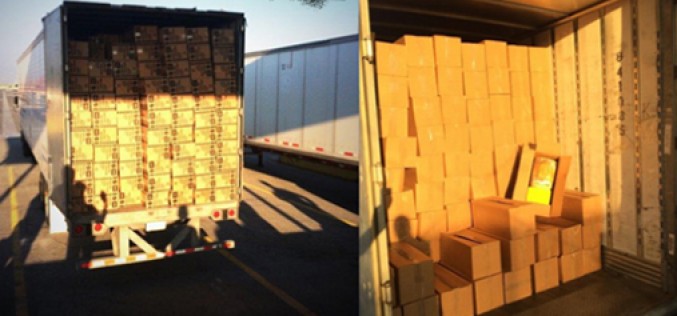 10,000 Pounds of Marijuana Seized