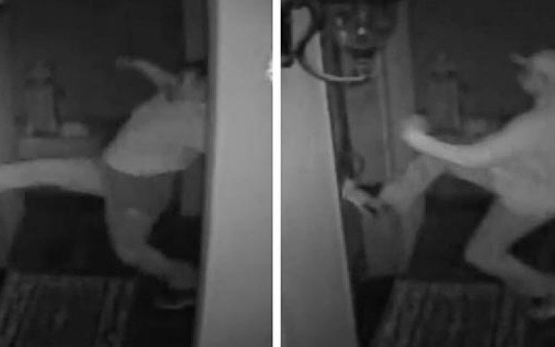 Sac Sheriff Needs Help Identifying Burglary Suspects