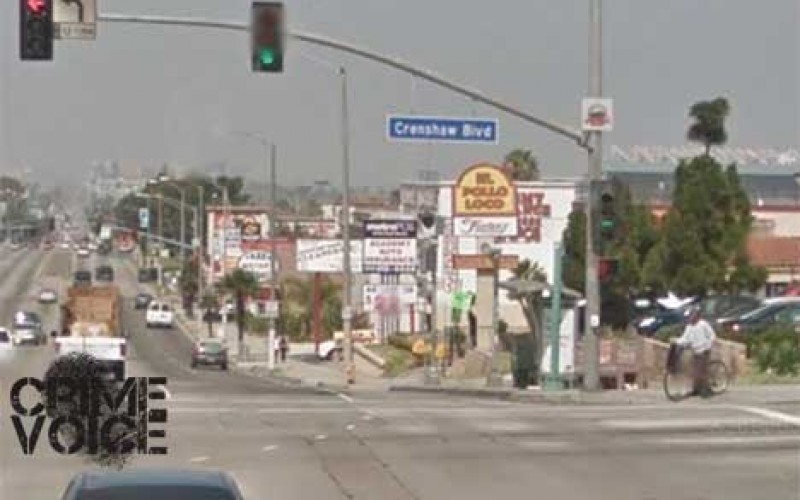 Homeless Inglewood Senior Citizen Arrested for Weapons, Resistance Charges