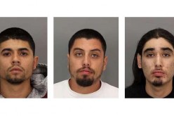 SJPD report arrest of three suspects responsible for stray bullet death