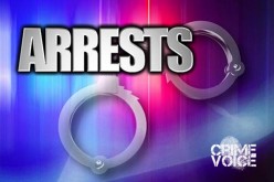 Boron Burglary Ring Busted, Nine in Custody