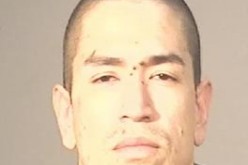 Bulldog Gang Member Arrested in Fresno Shooting Investigation