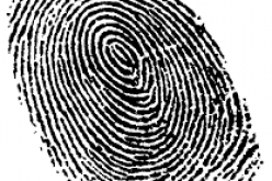 Fingerprints Point Police in Suspects’ Direction