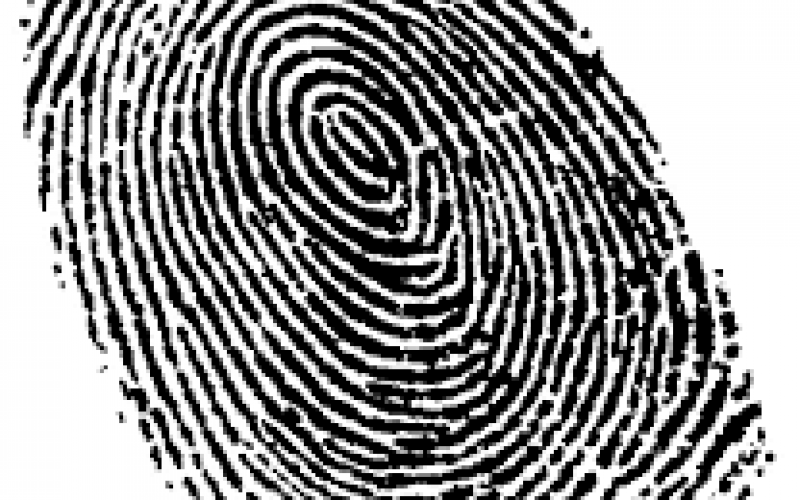 Fingerprints Point Police in Suspects’ Direction