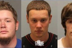 Burglary Boys Busted