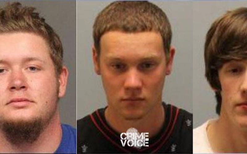 Burglary Boys Busted