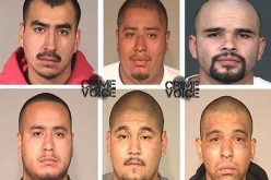 Gang Members Arrested in Murder Case During Sweep