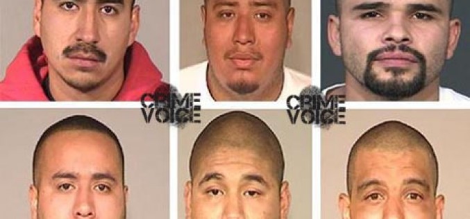 Gang Members Arrested in Murder Case During Sweep