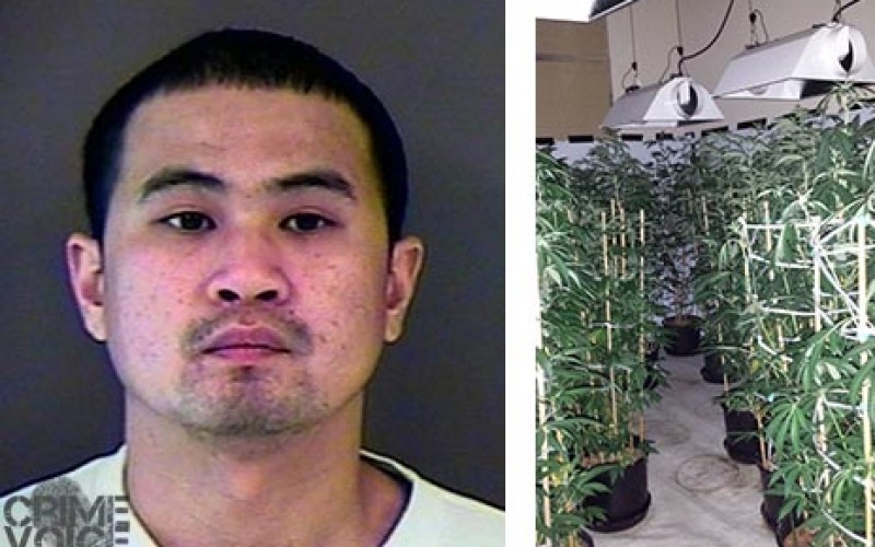 Forced Entry Nets Illegal Grow Operation