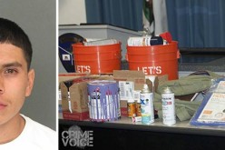 Santa Cruz Area Serial Tagger Arrested