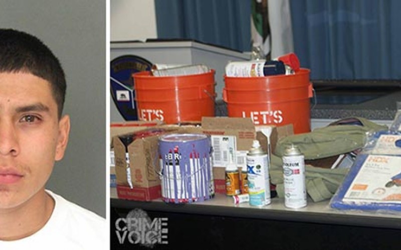 Santa Cruz Area Serial Tagger Arrested