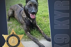 San Jacinto Police Department Welcomes New K-9 Officer after Tragic Death of “Sultan”