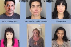 17 Arrested in Human Trafficking Crackdown