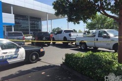 Man Kills Himself at Auto Dealership After Pulling a Gun on Agent