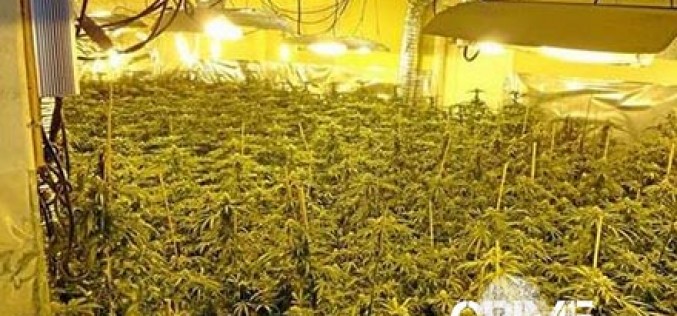 San Bernardino County Team Busts Huge Pot House