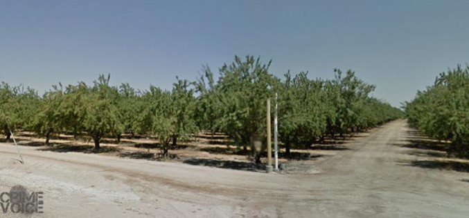 Arrest marks trend in Madera field labor workers