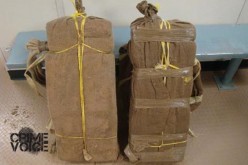 Border Patrol Bags Two Bundles of Pot