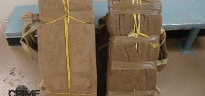 Border Patrol Bags Two Bundles of Pot