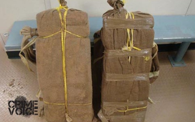 Border Patrol Bags Two Bundles of Pot