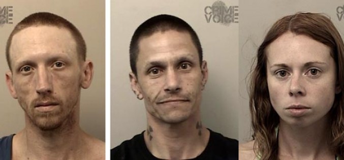 Three People Arrested in El Dorado Hills for Drugs and Stolen Mail