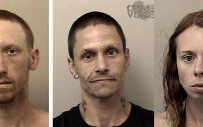 Three People Arrested in El Dorado Hills for Drugs and Stolen Mail