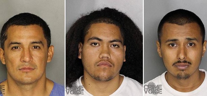 Three Arrested for Home Invasion and Vehicle Theft