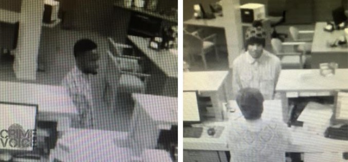 Twain Harte Bank Robbed