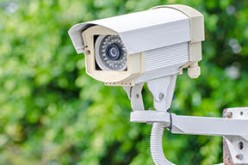 Burglars caught on surveillance by homeowners