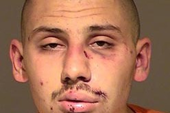 Theft Victim “Detains” Suspect with Fists