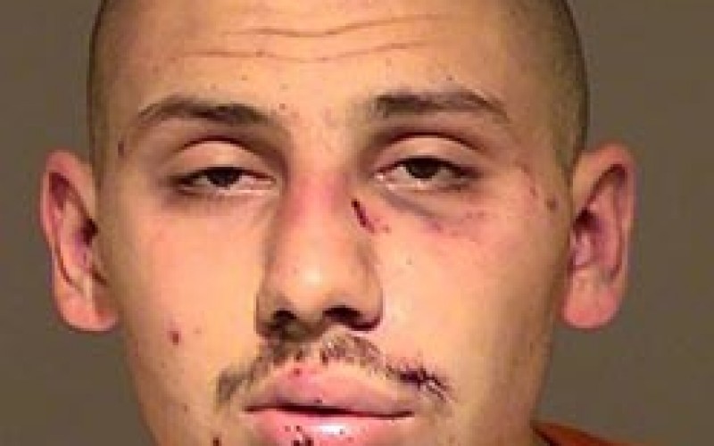 Theft Victim “Detains” Suspect with Fists