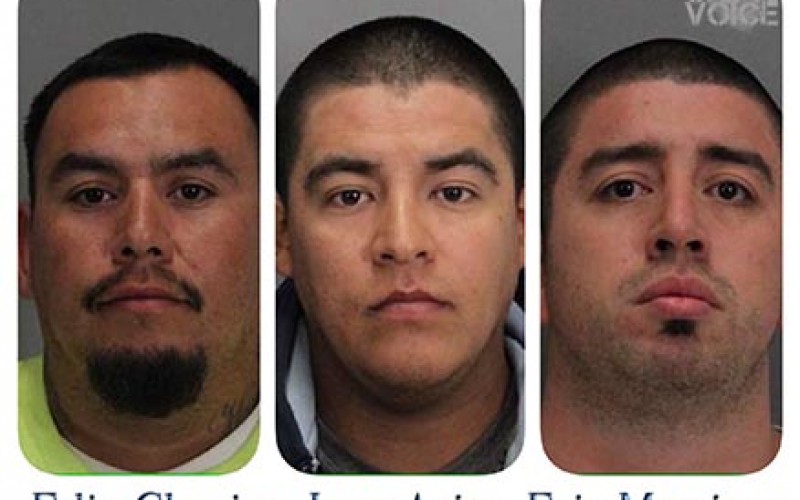 Four arrested for 49ers game felony assault